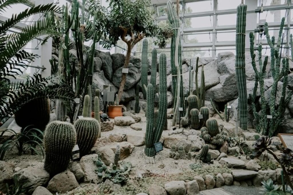 inspirasi desain taman depan rumah